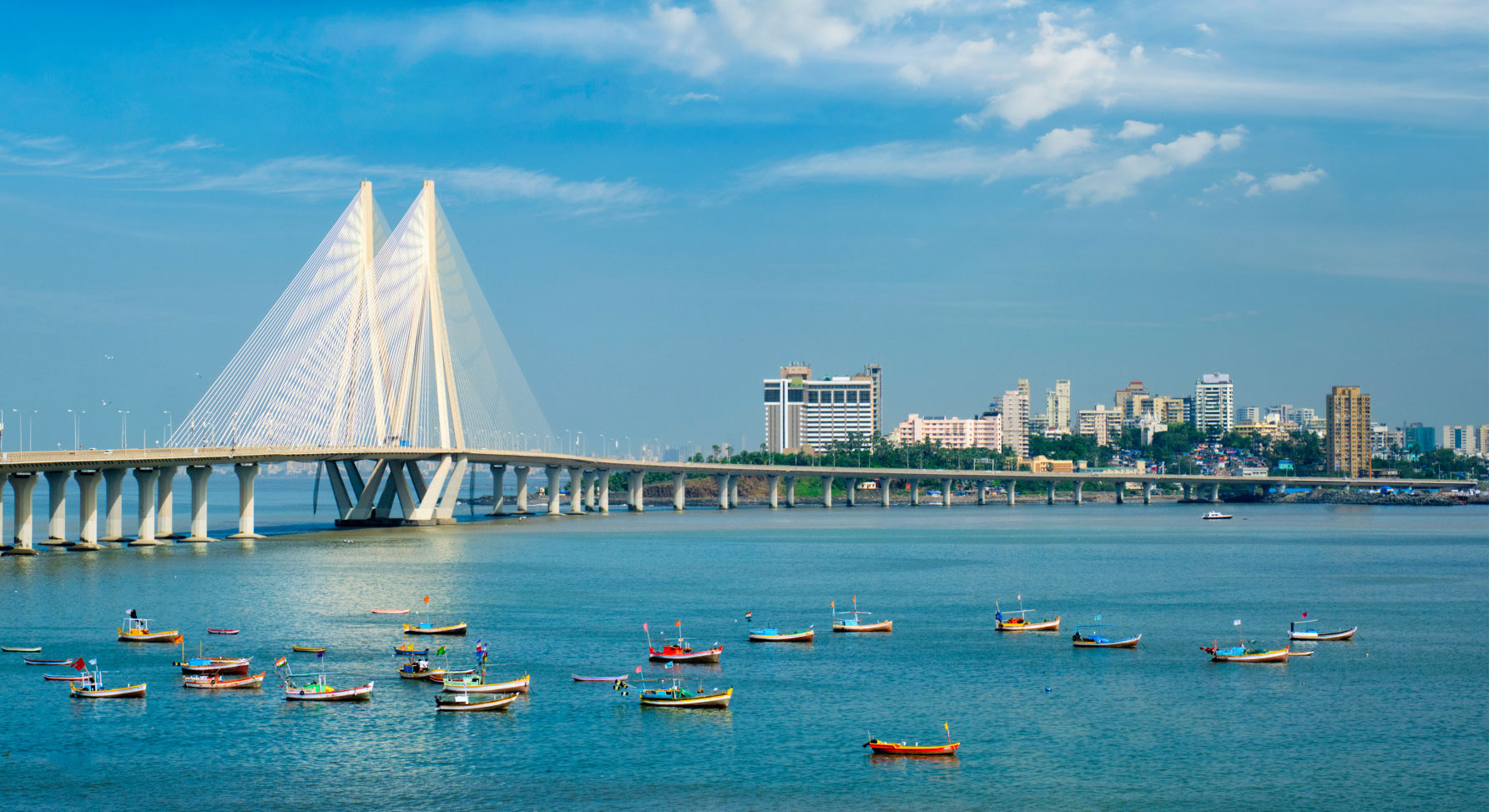 India cityscape representing the growing pet care market opportunity in India